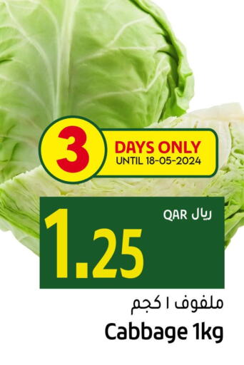  Cabbage  in جلف فود سنتر in قطر - الخور