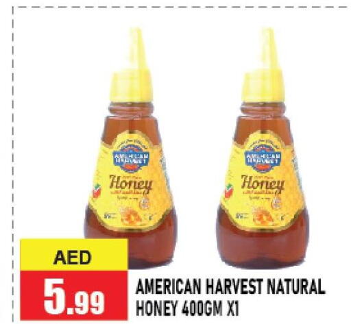AMERICAN HARVEST Honey  in أزهر المدينة هايبرماركت in الإمارات العربية المتحدة , الامارات - أبو ظبي