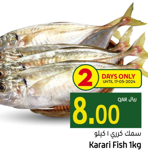  King Fish  in Gulf Food Center in Qatar - Al-Shahaniya