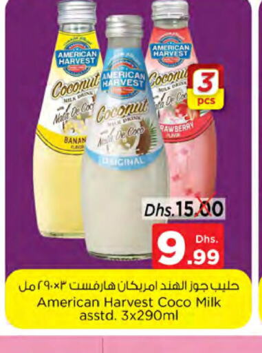  Flavoured Milk  in Nesto Hypermarket in UAE - Sharjah / Ajman