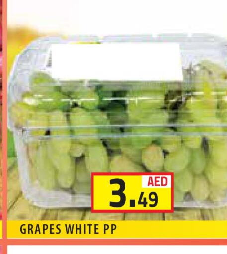  Grapes  in سنابل بني ياس in الإمارات العربية المتحدة , الامارات - الشارقة / عجمان