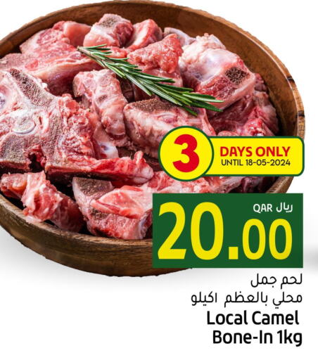  Camel meat  in Gulf Food Center in Qatar - Al Shamal