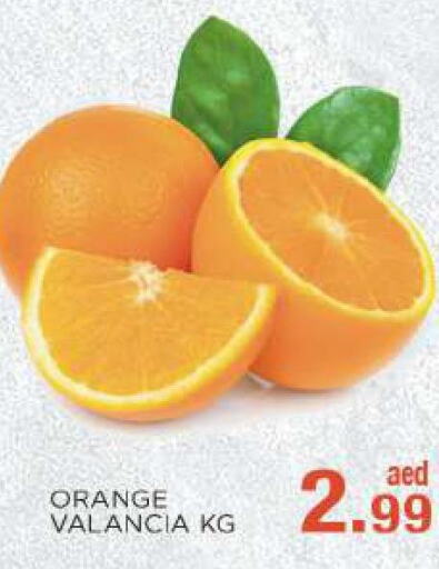  Orange  in سي.ام. سوبرماركت in الإمارات العربية المتحدة , الامارات - أبو ظبي