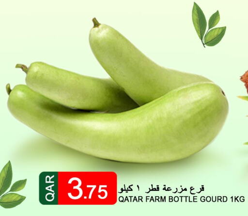  Gourd  in قصر الأغذية هايبرماركت in قطر - الخور