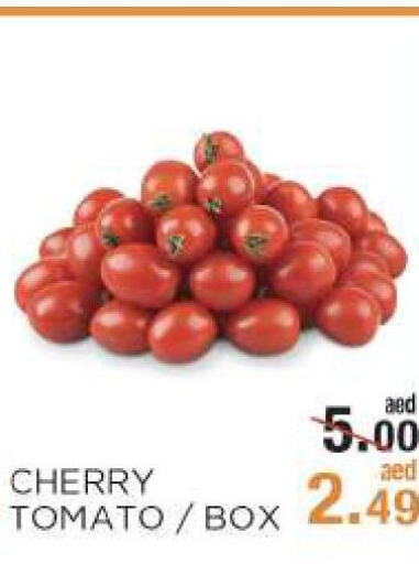  Tomato  in Rishees Hypermarket in UAE - Abu Dhabi