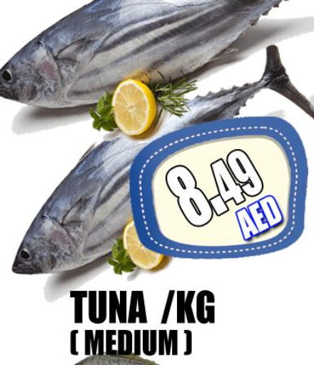  Tuna  in GRAND MAJESTIC HYPERMARKET in UAE - Abu Dhabi