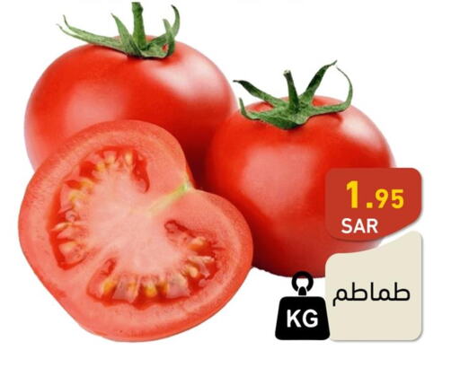  Tomato  in أسواق رامز in مملكة العربية السعودية, السعودية, سعودية - المنطقة الشرقية