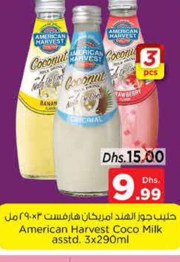  Flavoured Milk  in Nesto Hypermarket in UAE - Fujairah