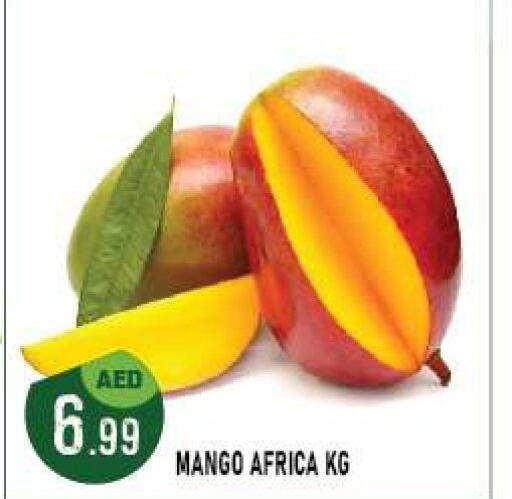  Grapes  in Azhar Al Madina Hypermarket in UAE - Abu Dhabi