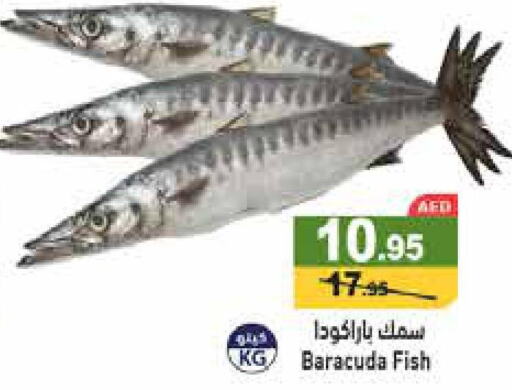  King Fish  in Aswaq Ramez in UAE - Sharjah / Ajman