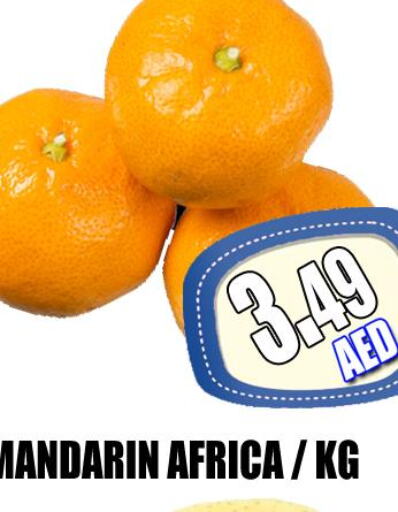  Orange  in GRAND MAJESTIC HYPERMARKET in UAE - Abu Dhabi