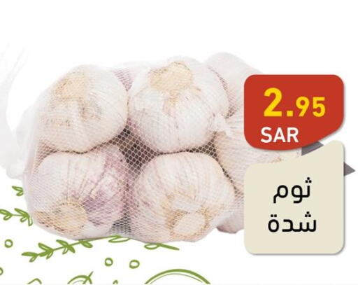  Garlic  in أسواق رامز in مملكة العربية السعودية, السعودية, سعودية - حفر الباطن