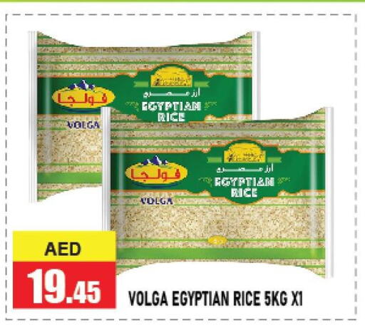  Egyptian / Calrose Rice  in أزهر المدينة هايبرماركت in الإمارات العربية المتحدة , الامارات - أبو ظبي