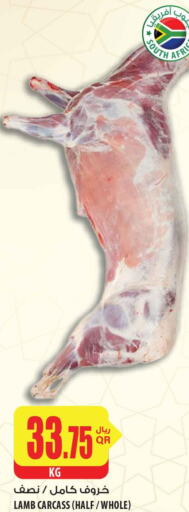  Mutton / Lamb  in شركة الميرة للمواد الاستهلاكية in قطر - أم صلال