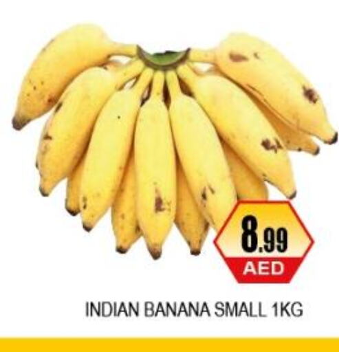  Banana  in اي ون سوبر ماركت in الإمارات العربية المتحدة , الامارات - أبو ظبي