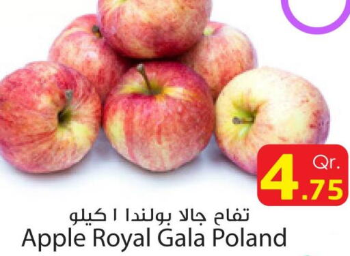 Apples  in Dana Express in Qatar - Al Daayen