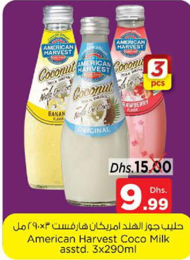  Flavoured Milk  in نستو هايبرماركت in الإمارات العربية المتحدة , الامارات - الشارقة / عجمان