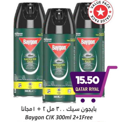 BAYGON   in Dana Hypermarket in Qatar - Al Shamal