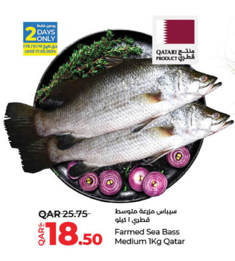  King Fish  in LuLu Hypermarket in Qatar - Al-Shahaniya