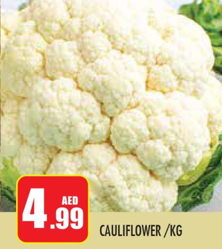  Cauliflower  in سنابل بني ياس in الإمارات العربية المتحدة , الامارات - أبو ظبي