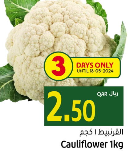  Cauliflower  in جلف فود سنتر in قطر - الريان