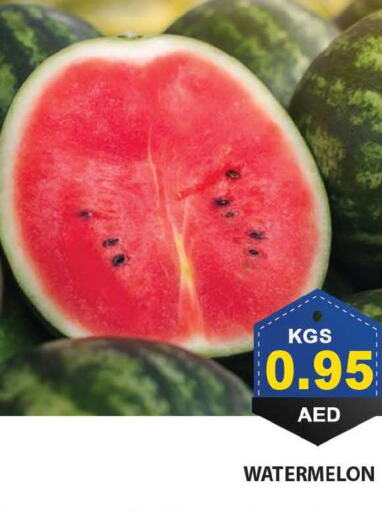  Watermelon  in بسمي بالجملة in الإمارات العربية المتحدة , الامارات - دبي