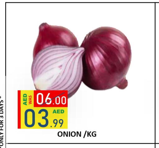  Onion  in ROYAL GULF HYPERMARKET LLC in UAE - Abu Dhabi