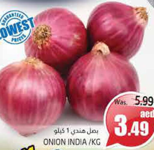  Onion  in PASONS GROUP in UAE - Al Ain