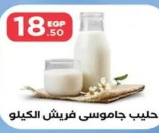  Full Cream Milk  in المحلاوي ستورز in Egypt - القاهرة