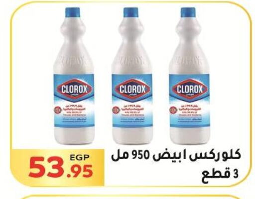 CLOROX General Cleaner  in El Mahallawy Market  in Egypt - Cairo