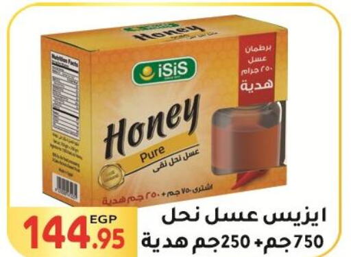  Honey  in El Mahallawy Market  in Egypt - Cairo