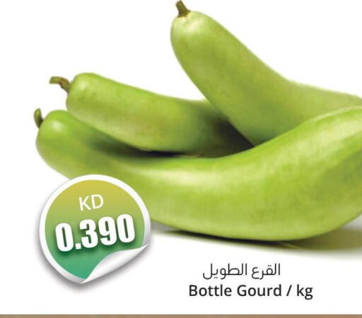  Gourd  in 4 SaveMart in Kuwait - Kuwait City