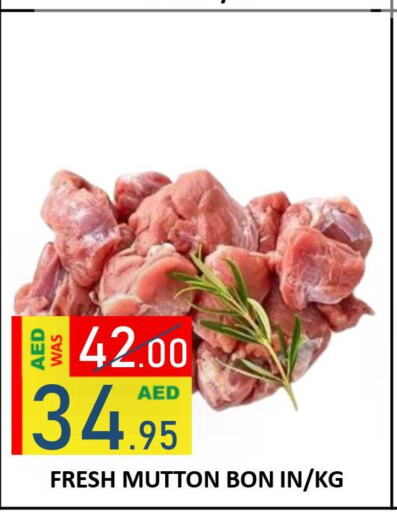  Mutton / Lamb  in ROYAL GULF HYPERMARKET LLC in UAE - Abu Dhabi