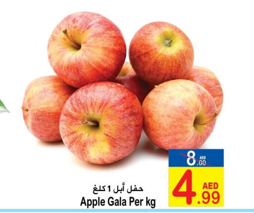  Apples  in سن اند ساند هايبر ماركت ذ.م.م in الإمارات العربية المتحدة , الامارات - رَأْس ٱلْخَيْمَة