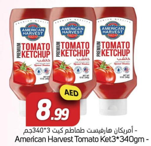 AMERICAN HARVEST Tomato Ketchup  in Souk Al Mubarak Hypermarket in UAE - Sharjah / Ajman