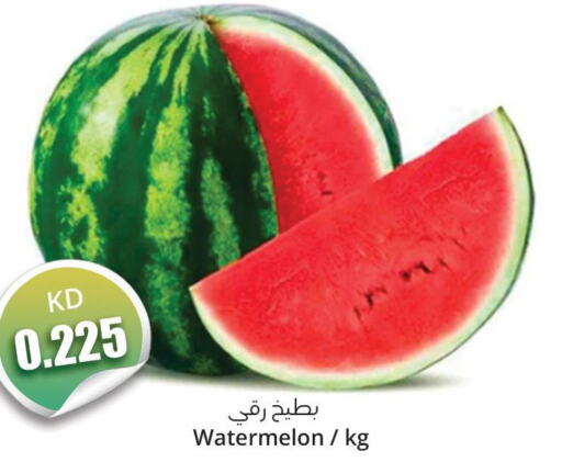  Watermelon  in 4 سيفمارت in الكويت - مدينة الكويت
