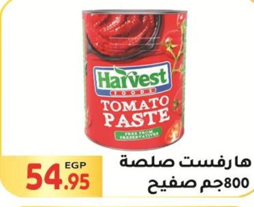  Tomato Paste  in El Mahallawy Market  in Egypt - Cairo