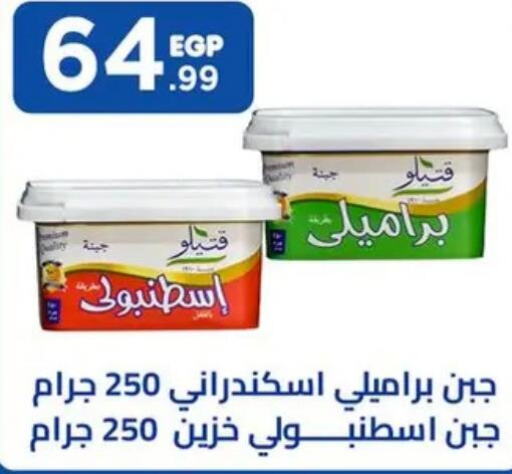 DOMTY Cream Cheese  in المحلاوي ستورز in Egypt - القاهرة