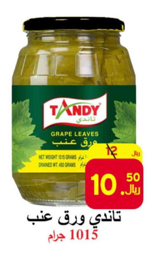 TANDY   in شركة محمد فهد العلي وشركاؤه in مملكة العربية السعودية, السعودية, سعودية - الأحساء‎