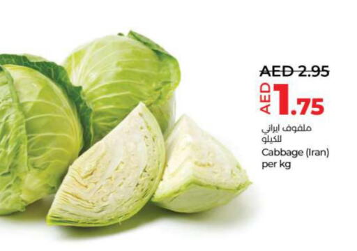  Cabbage  in لولو هايبرماركت in الإمارات العربية المتحدة , الامارات - رَأْس ٱلْخَيْمَة
