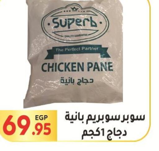  Chicken Pane  in المحلاوي ماركت in Egypt - القاهرة