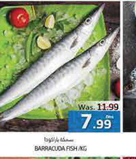  Tuna  in مجموعة باسونس in الإمارات العربية المتحدة , الامارات - ٱلْعَيْن‎