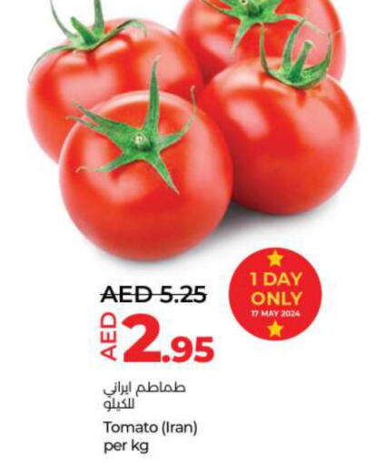 Tomato  in Lulu Hypermarket in UAE - Sharjah / Ajman