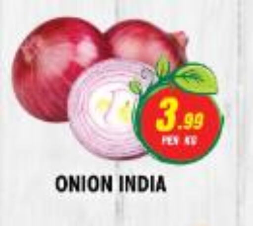  Onion  in NIGHT TO NIGHT DEPARTMENT STORE in UAE - Sharjah / Ajman