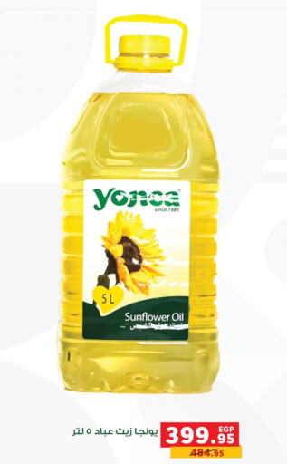  Sunflower Oil  in بنده in Egypt - القاهرة