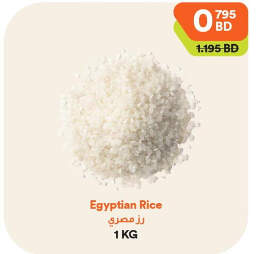  Egyptian / Calrose Rice  in طلبات مارت in البحرين