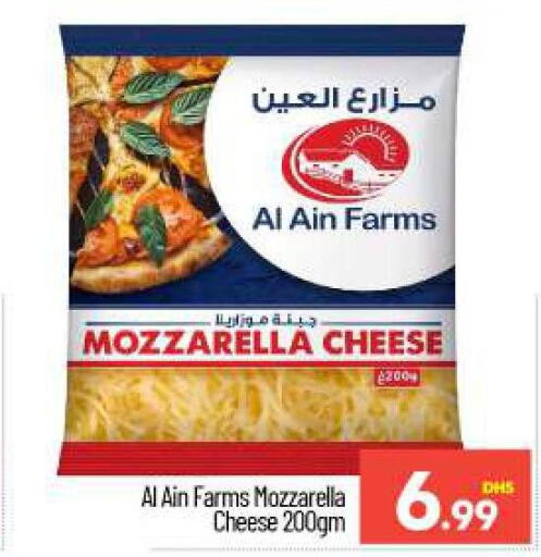 AL AIN Mozzarella  in بيج مارت in الإمارات العربية المتحدة , الامارات - دبي