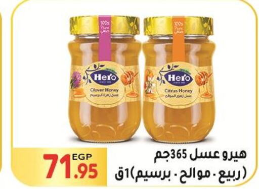 HERO Honey  in El Mahallawy Market  in Egypt - Cairo