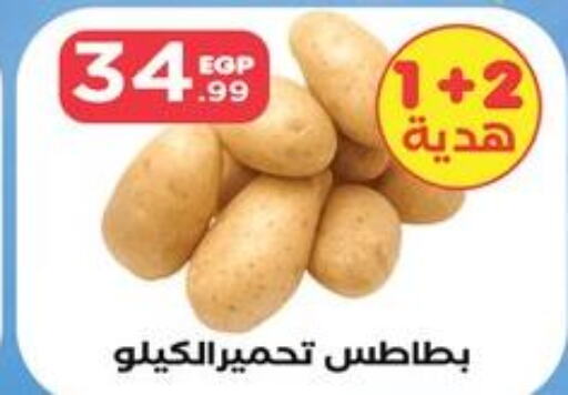 Potato  in مارت فيل in Egypt - القاهرة