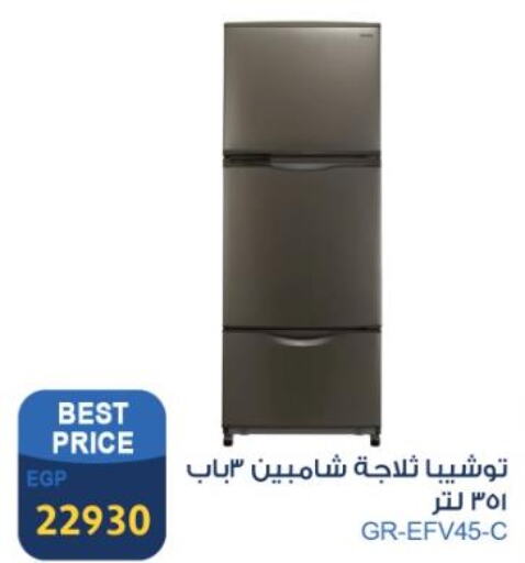 TOSHIBA Refrigerator  in فتح الله in Egypt - القاهرة